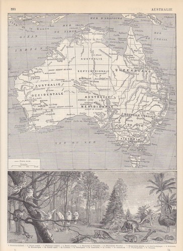 Australien landkarte fauna - -,