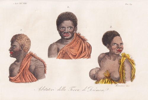 Tasmania tasmanien natives - tasmania,