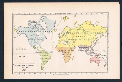 1890 tiergeographische karte - 1890,