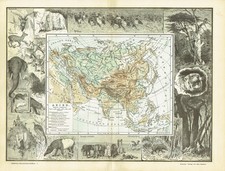 ASIEN Physische original