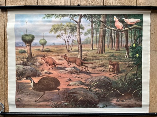 Alte lehrtafel aus - alte, lehrtafel-