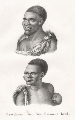 Tasmania tasmanien indigenous - tasmanien,