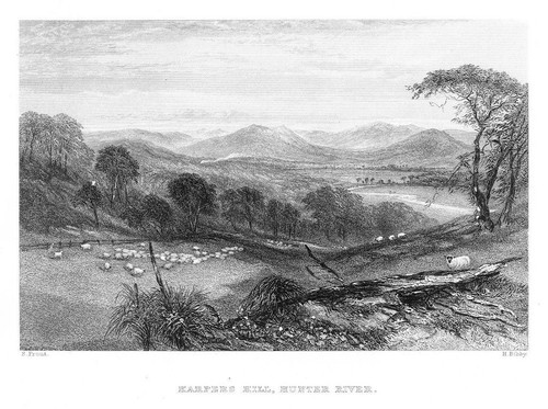 1870 harpers hill hunter - -,